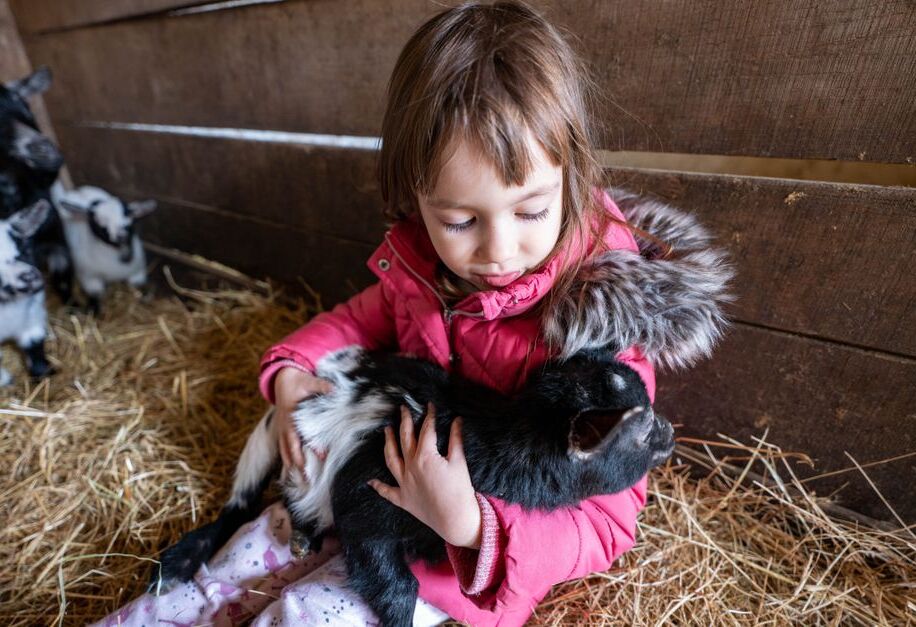 Kinderboerderij De Heuvel